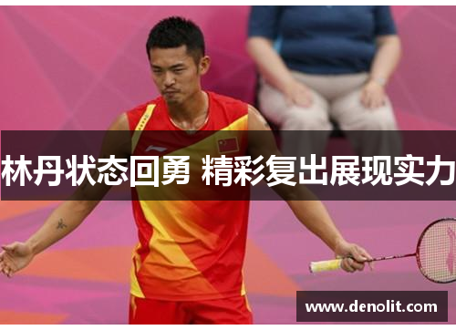 林丹状态回勇 精彩复出展现实力